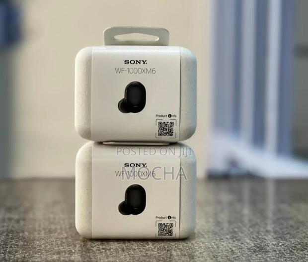 Sony Wf-1000xm6 Earbuds - main view