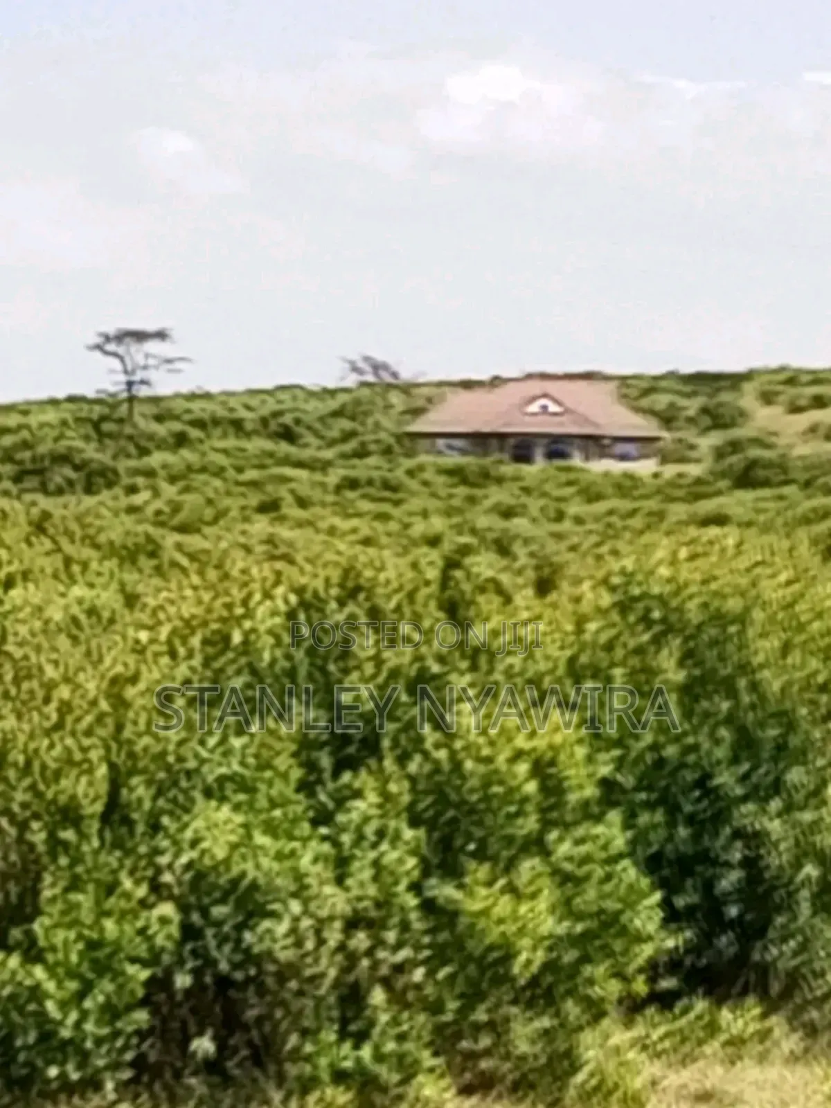 16 Acrea Nanyuki Nauritia Tarmac