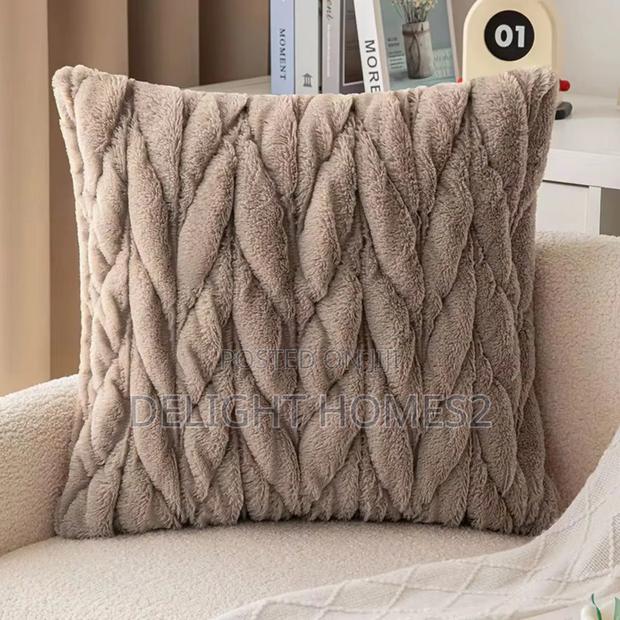 Decorative Throw Pillow_ex