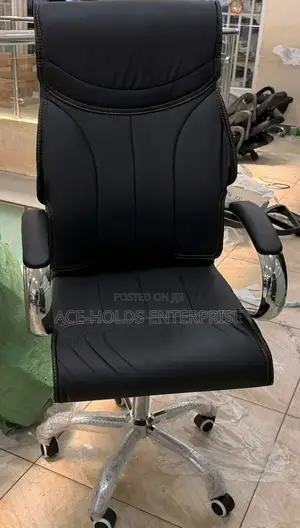 Ergonomic Executive Leather Chair ~ High Back, Padded Armrest