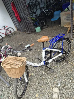 Ebike Electric Bicycle.