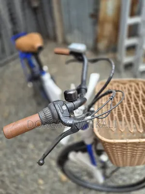 Ebike Electric Bicycle.