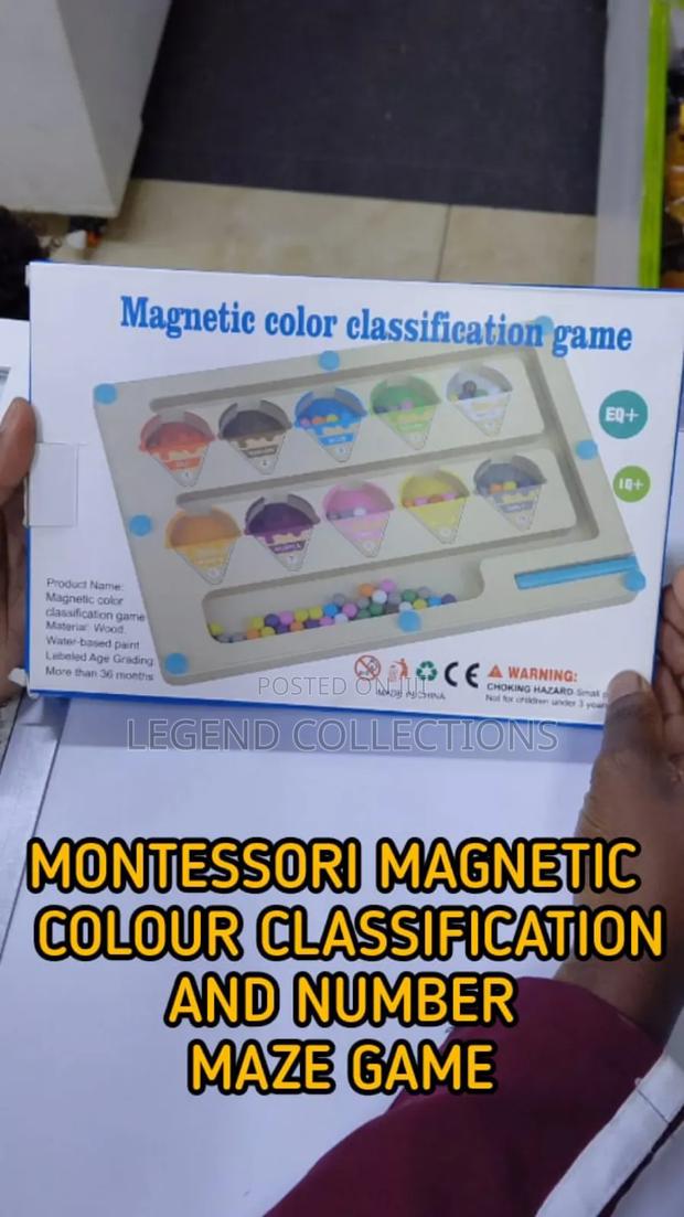 Montessori Magnetic Color Classification Game
