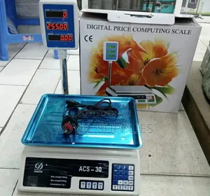 30kg Digital Scale With Arm