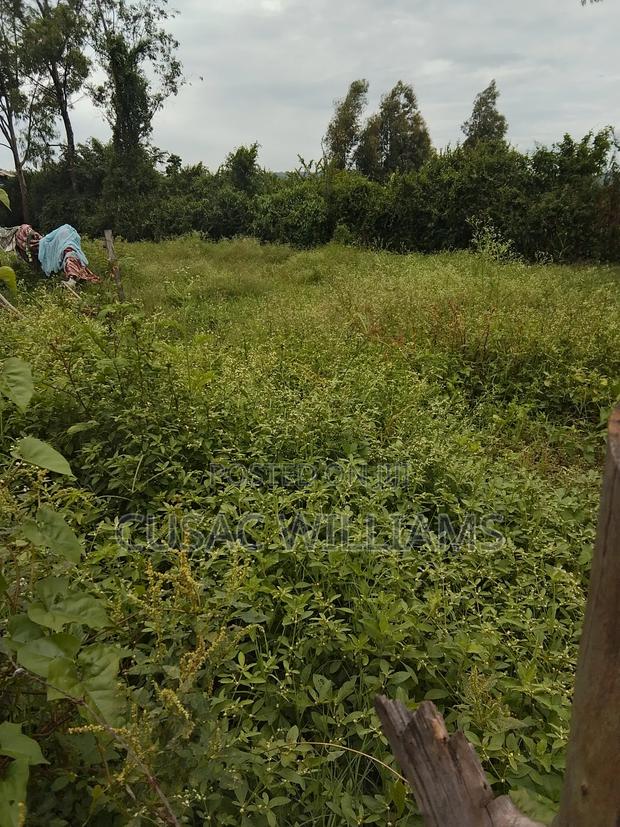 Land for Sale - thumbnail 2