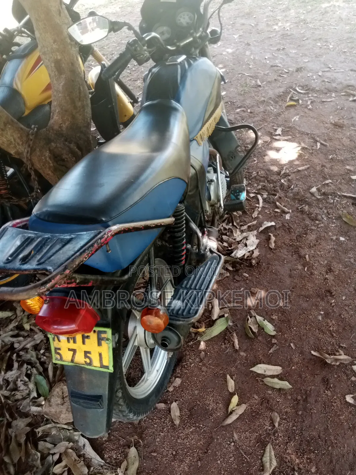 TVS 2019 Blue