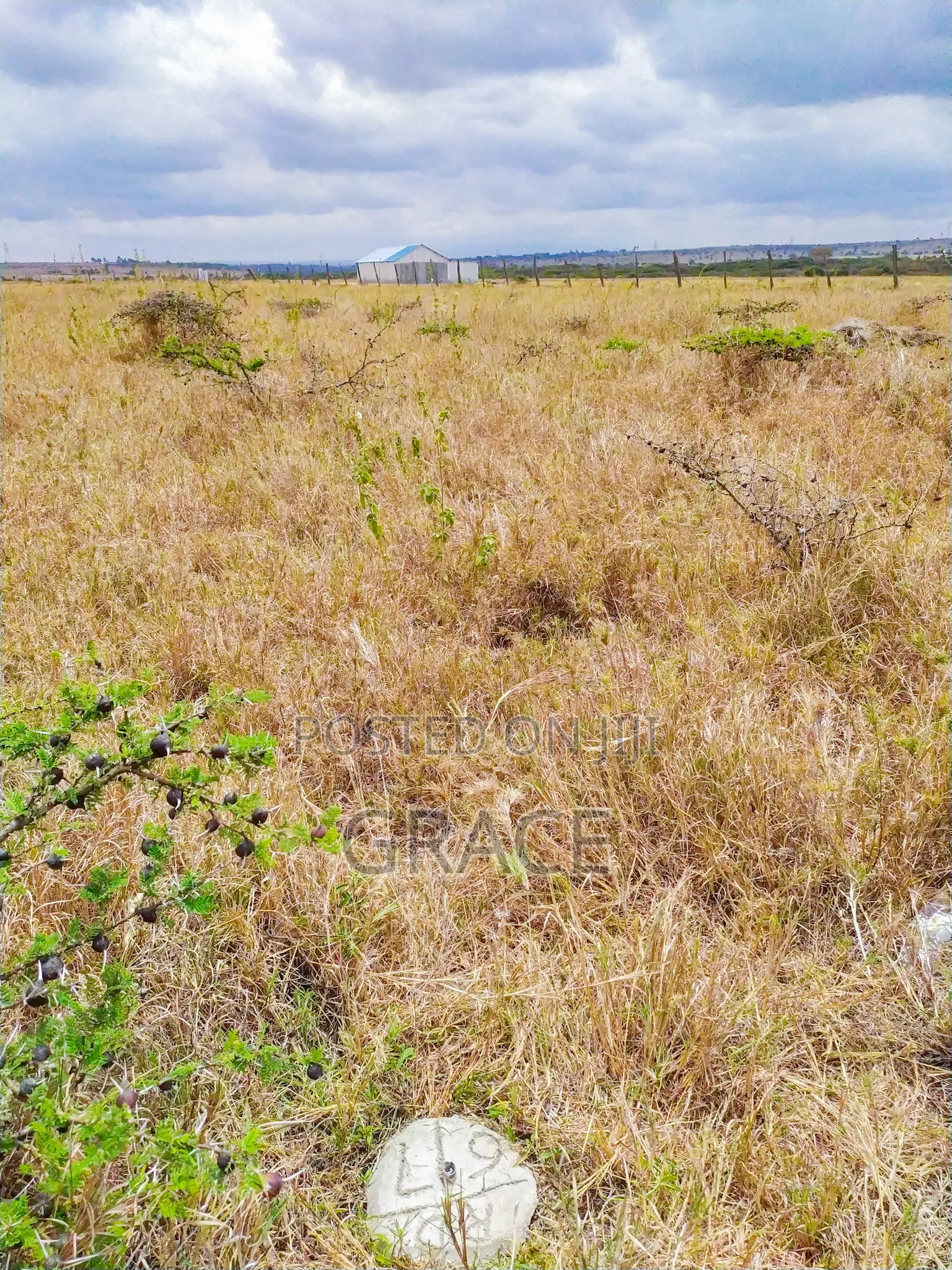 Mbuni Gardens – Kitengela