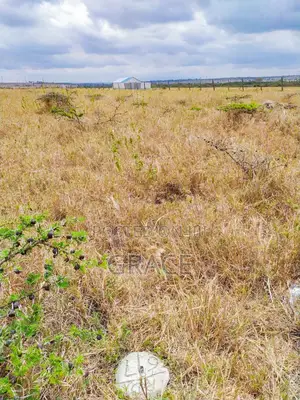 Mbuni Gardens – Kitengela