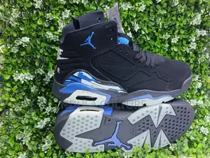 Jordan 6 Sneakers