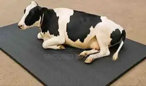 Cow Matress 5by 3ft /Cow Matres