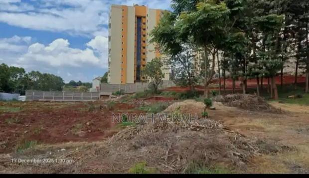 2 Acres Loresho - thumbnail 6