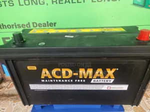 N100 Acd Max Car Battery