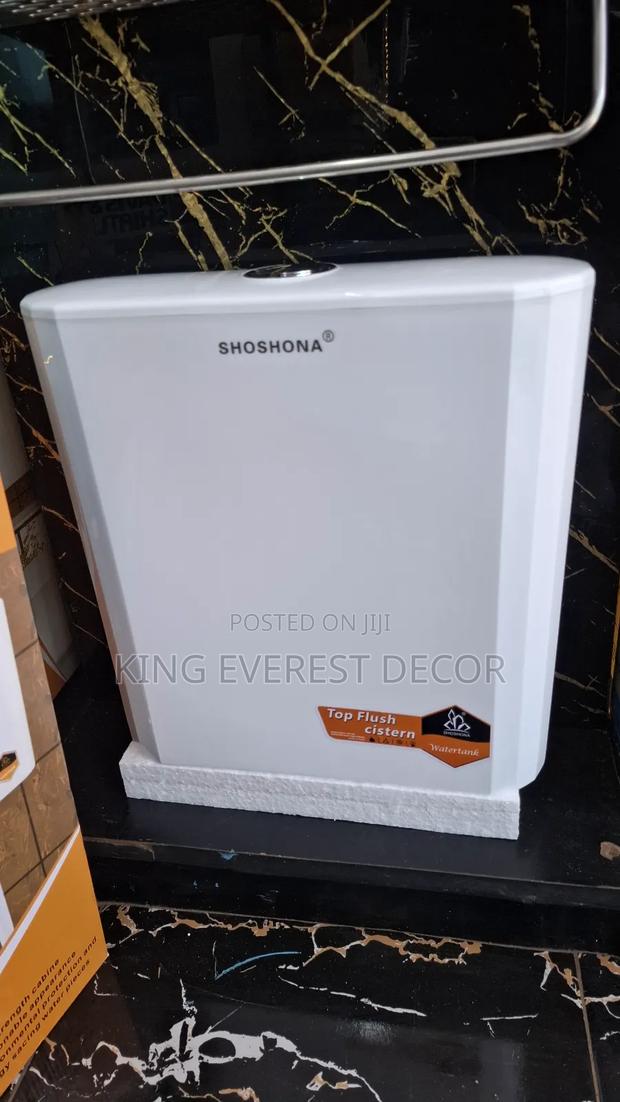 Sshoshona Top Flush Cistern