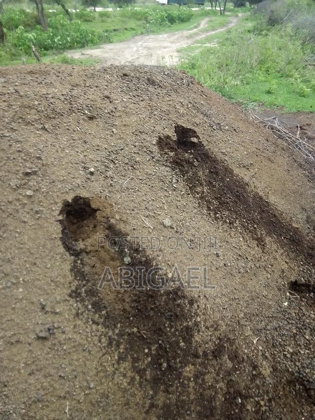 Goats and Cow Manure