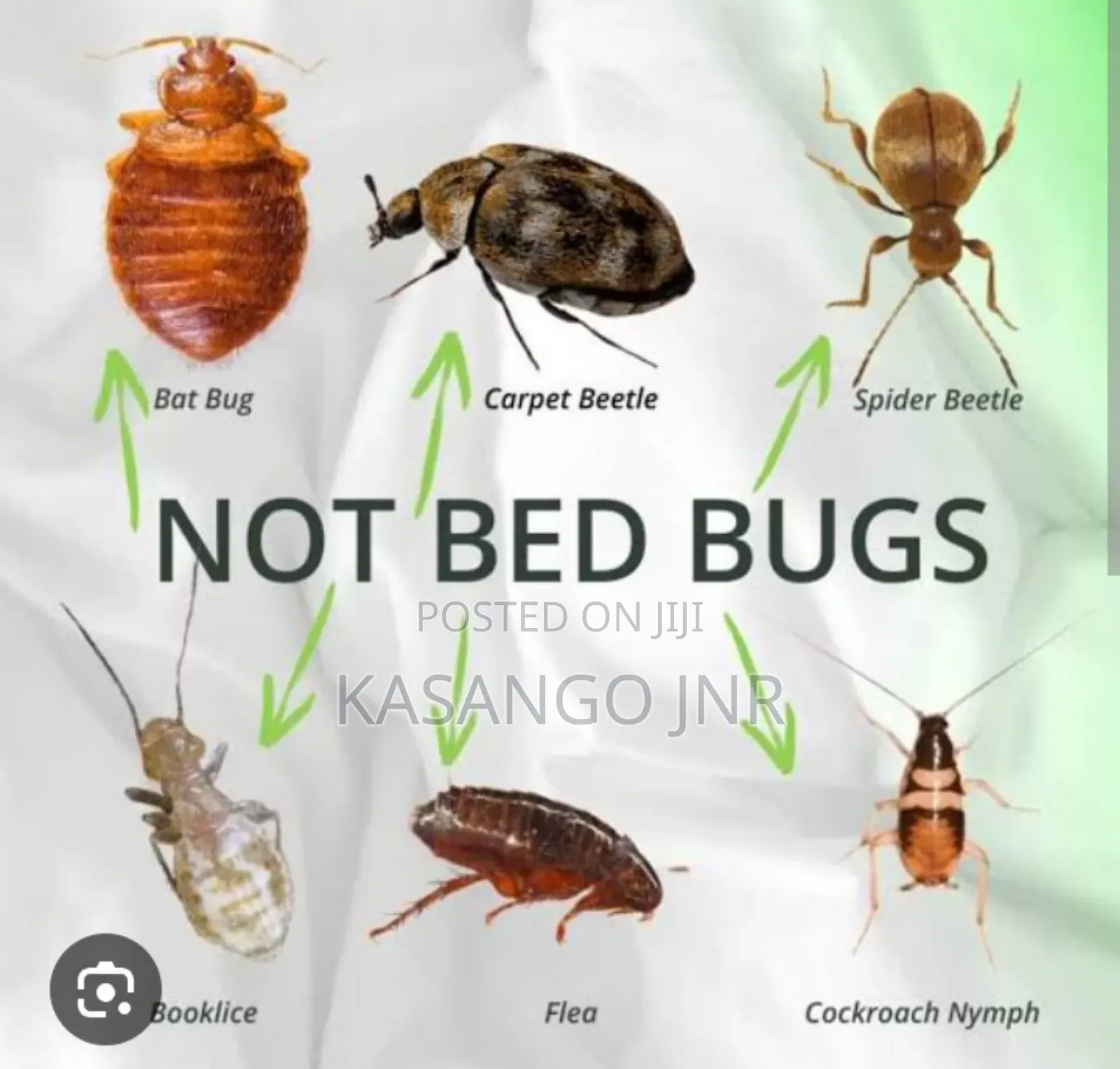 Fumigation