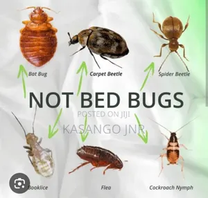 Fumigation