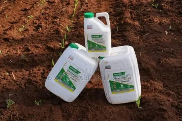 Governor 5 Litres Nairobi