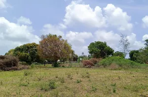 Msabaha Plots