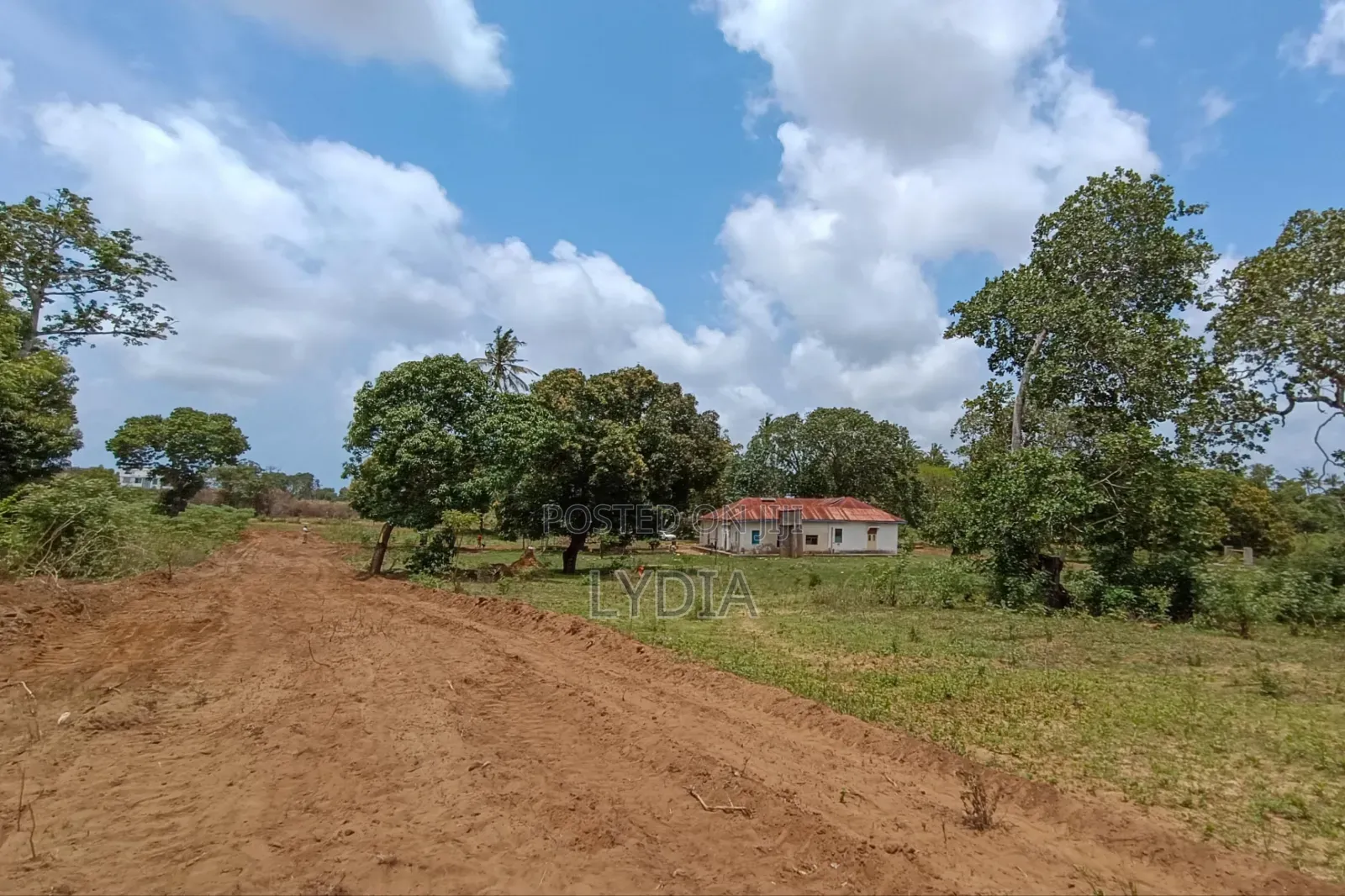 Msabaha Plots