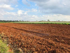 151 Acres on Sale Touching Thika Gatanga Road, Very Prime Land.