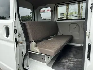 Suzuki EV 2019 White