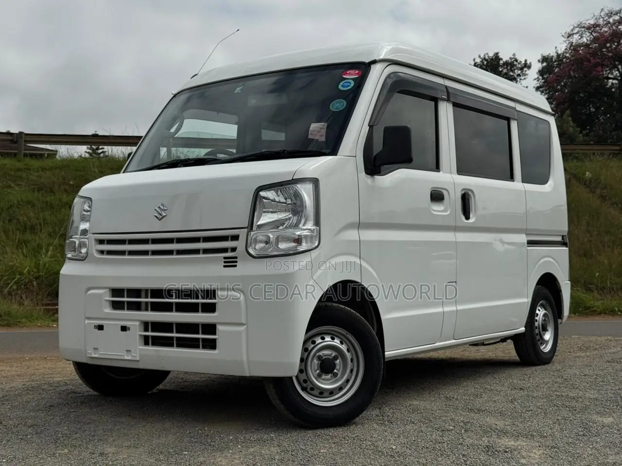 Suzuki EV 2019 White