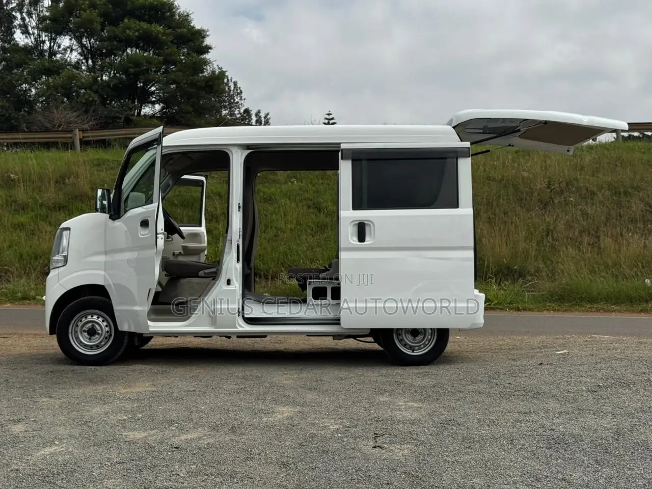 Suzuki EV 2019 White