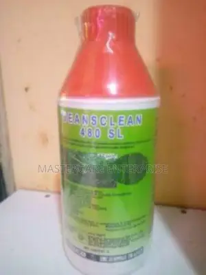Beansclean 480 1 Litre