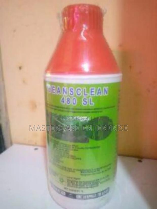 Beansclean 480 1 Litre
