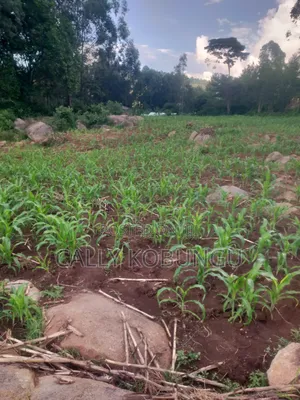 0.03ha Maseno, Nyawita