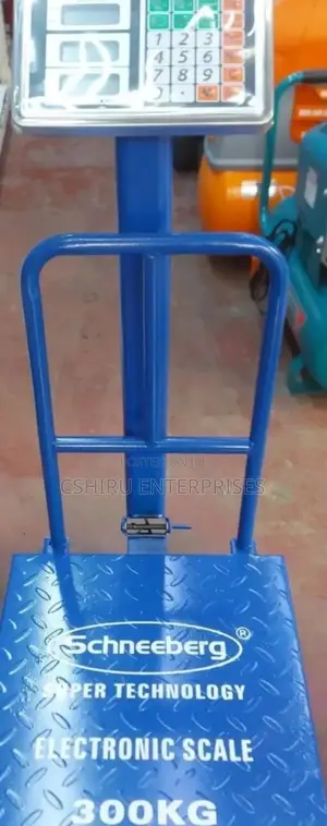 Schneeberg Platform Scales 300kg