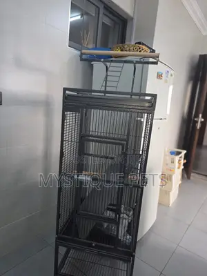 African Grey Parrot Cage