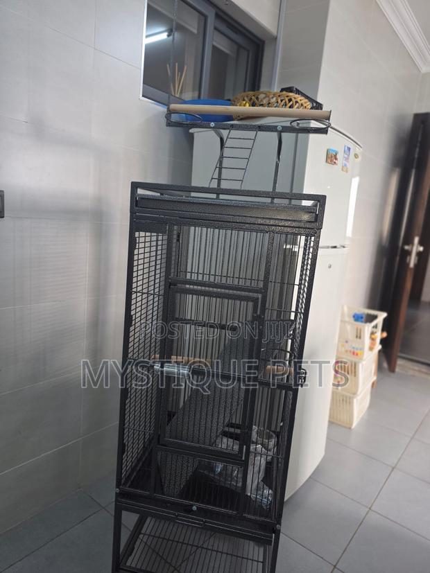 African Grey Parrot Cage