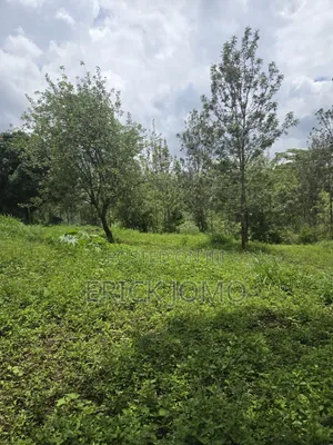 0.5 Acre Land in Olkeri, Karen West