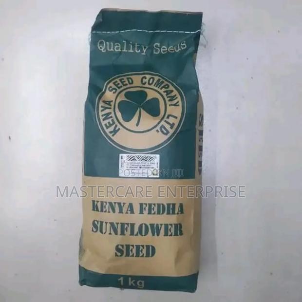 Sunflower Hybrid Seeds
