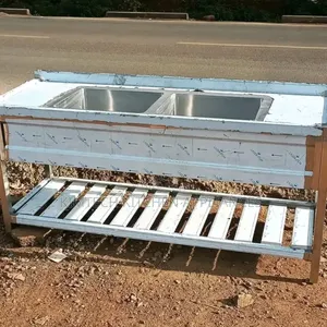 Double Bowl Sink