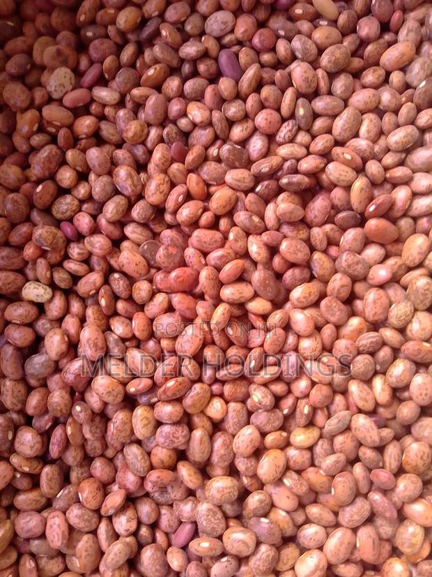 Mwetemania (Pinto) Beans 90kg