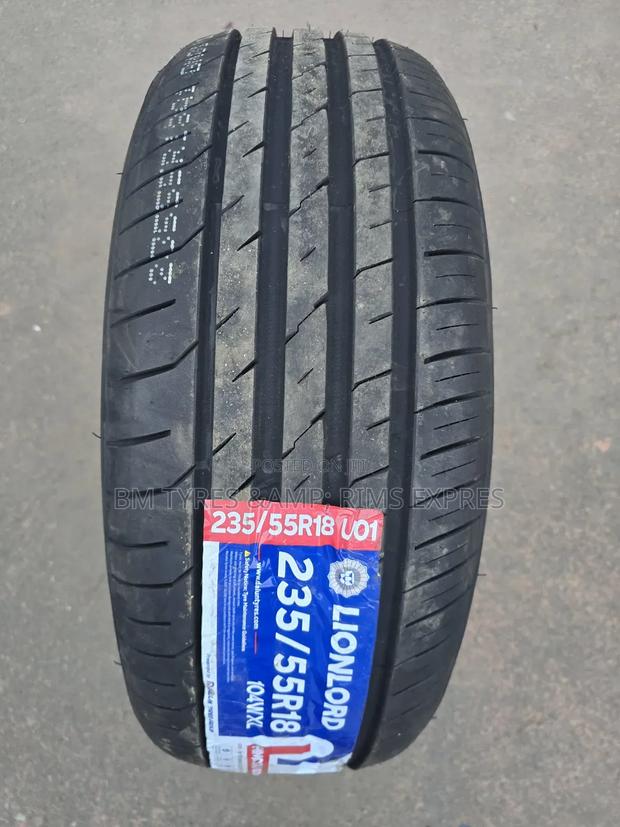 235 /55 R18 Lionlord (New Technology) - main view