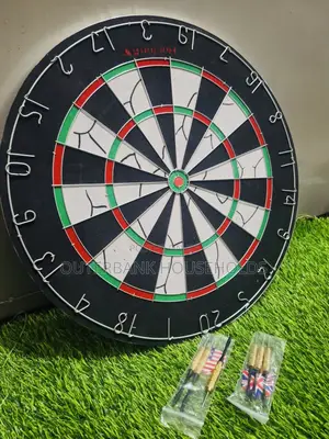 Proffessional Dart Board