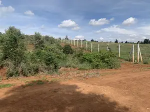 Naachu / Ndasha 1 Acre for Sale
