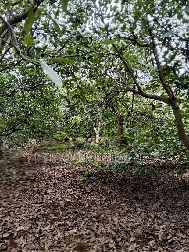 2 Acres of Land on Sale at Thangira-Umoja Kenol - thumbnail 4