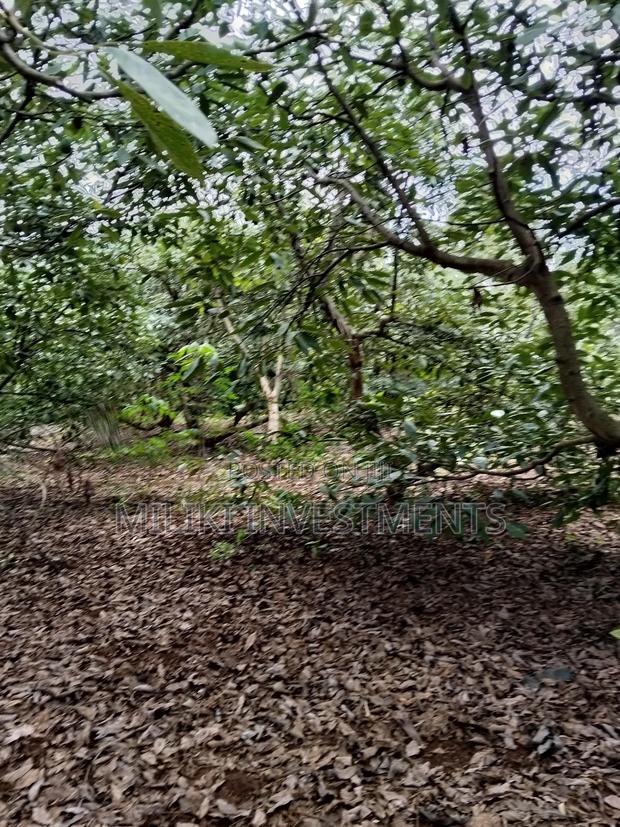 2 Acres of Land on Sale at Thangira-Umoja Kenol - thumbnail 5