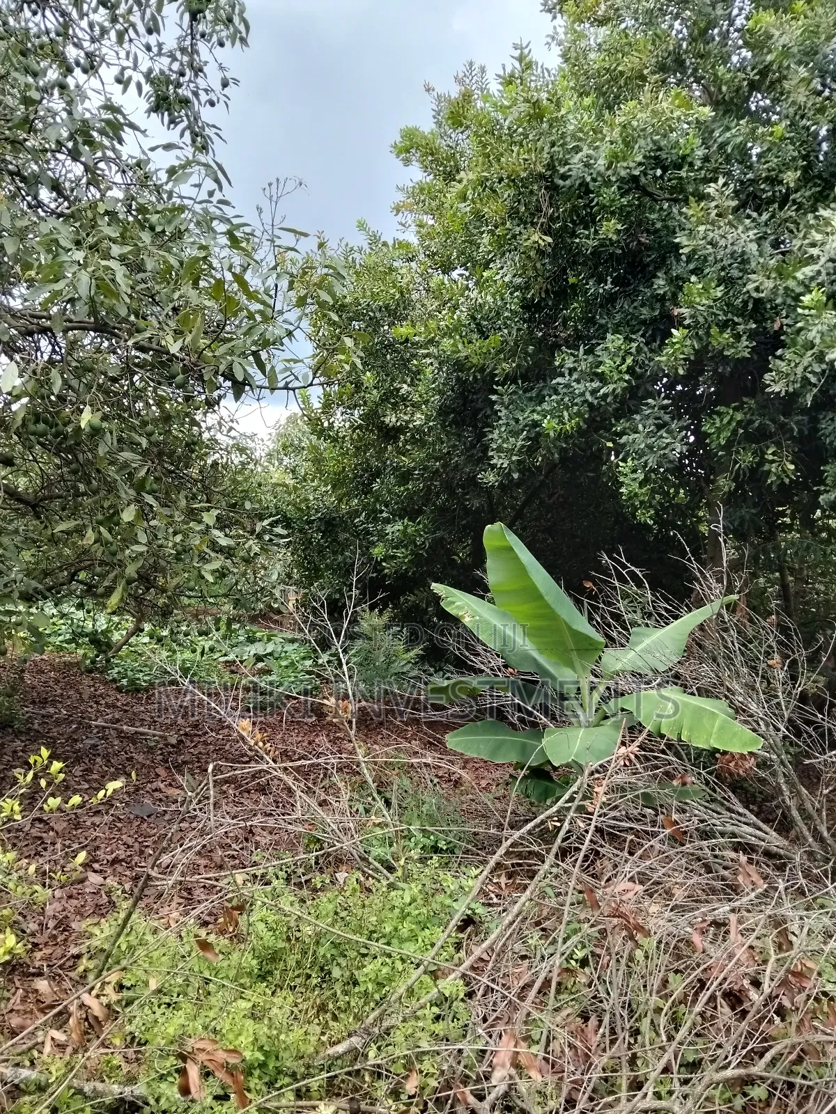 2 Acres of Land on Sale at Thangira-Umoja Kenol