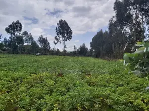 1 Acre at Boiman Centre