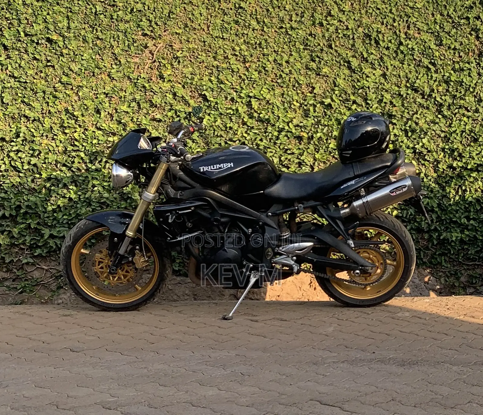 Triumph 2011 Black