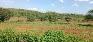 Land for Sale Near Makutano
