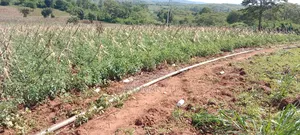 Land for Sale Near Makutano
