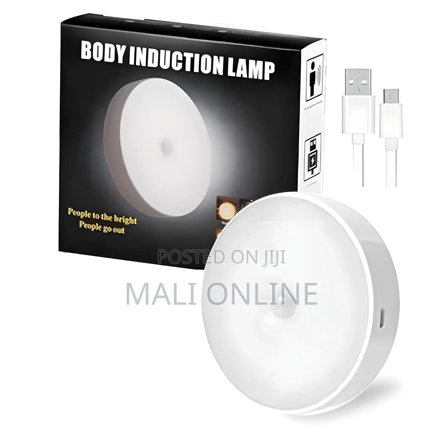 Motion Sensor Led Night Light Rechargeable Auto on/Off Sensor