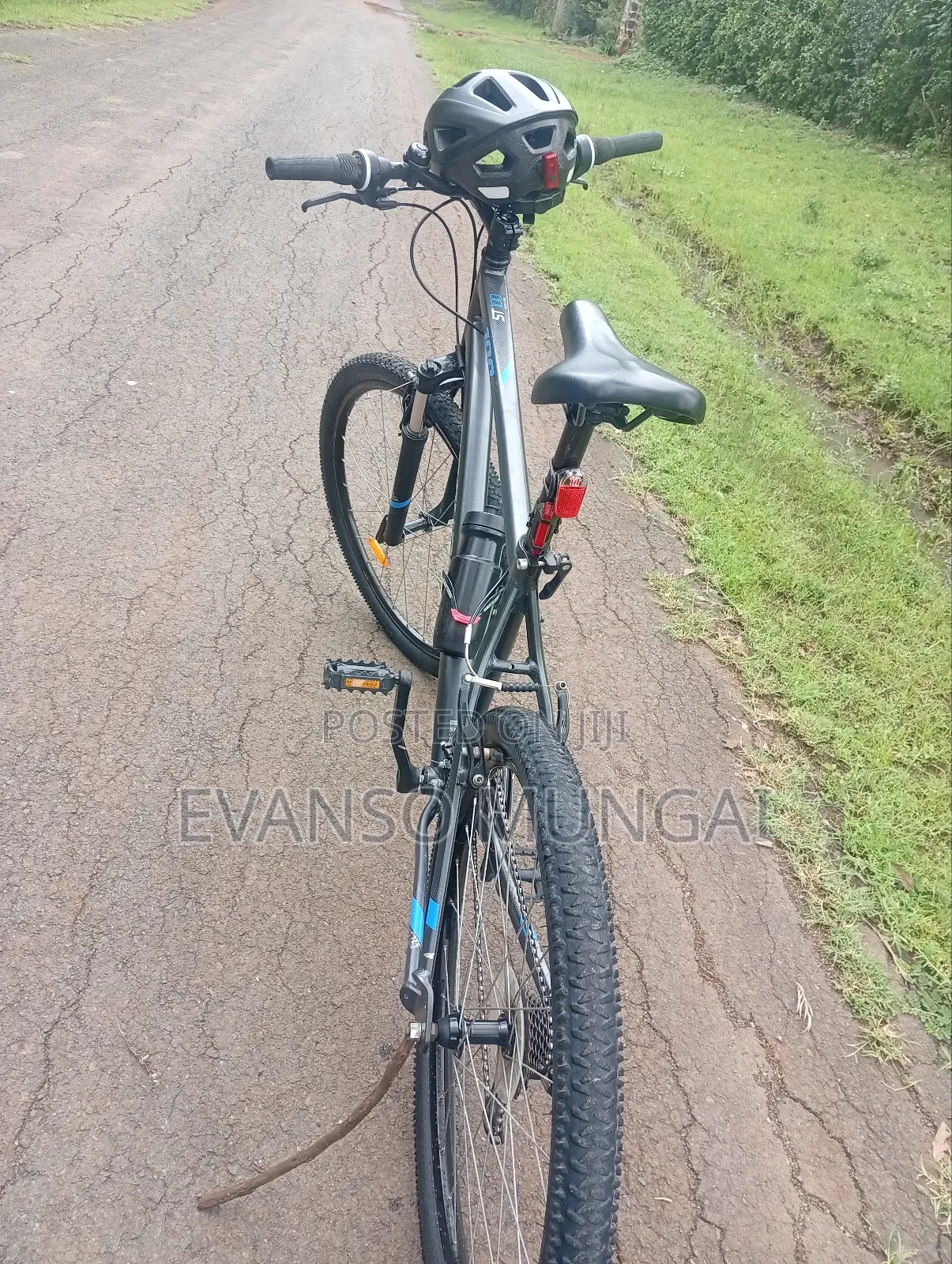 Mountain Bike