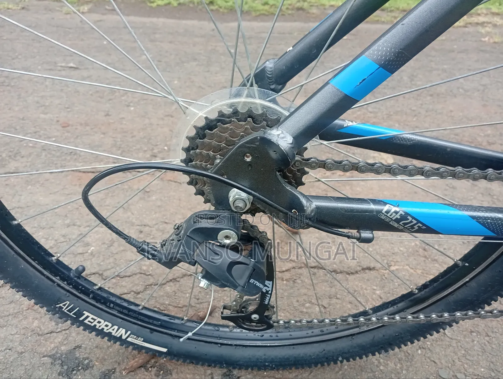 Mountain Bike